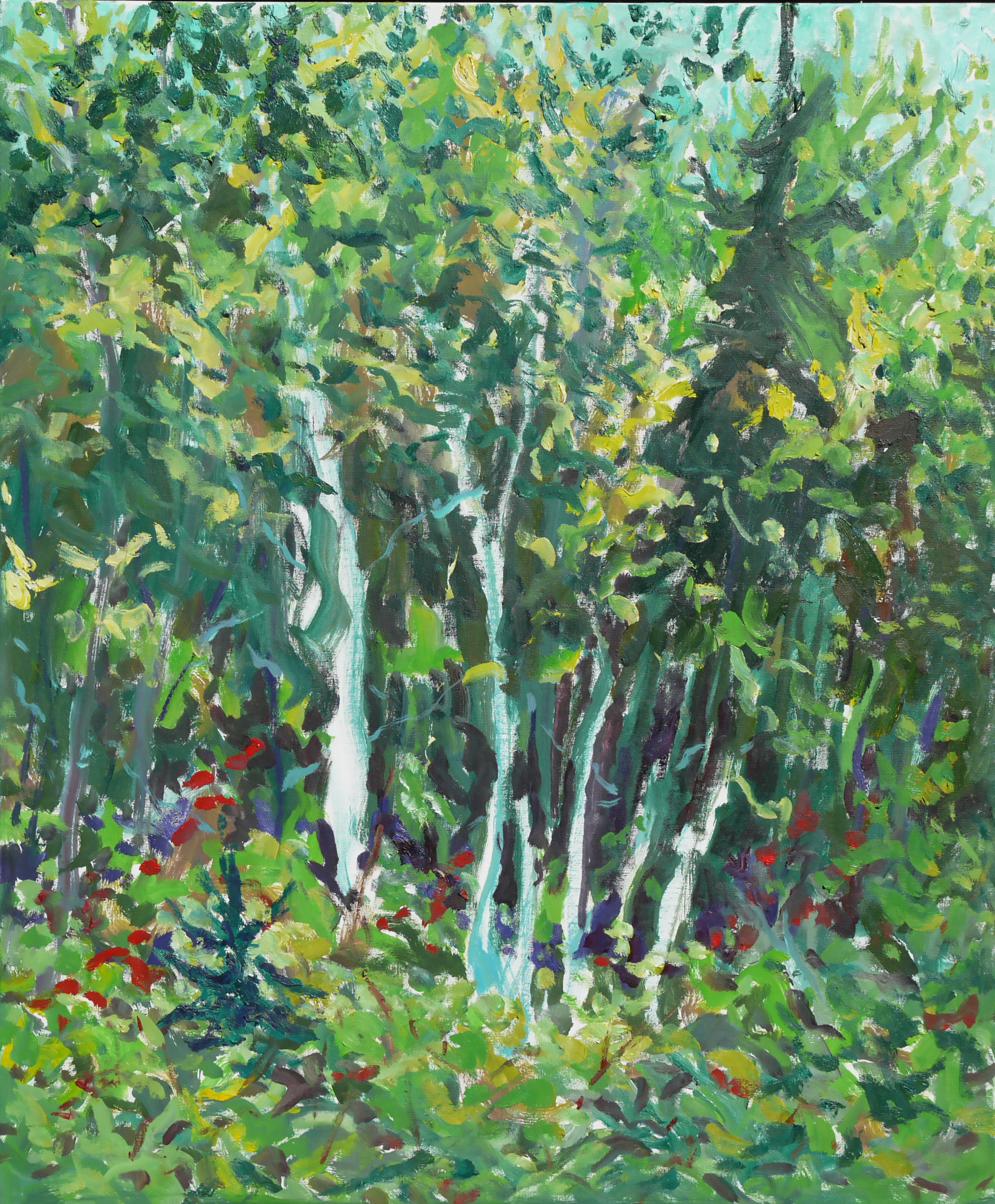 Artwork by Bert Weir, Sun Dappled Saplings, 2012 oil on canvas, 92 by 76 cm