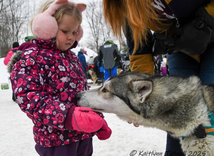 girl in winter clothes with sled dog