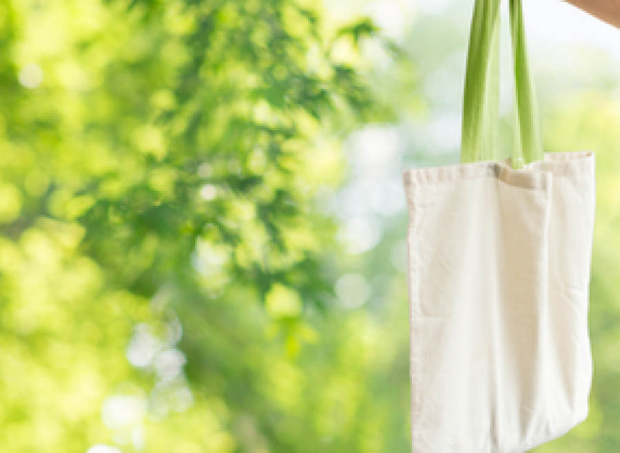 reusable shopping bag with summery green leaves in background
