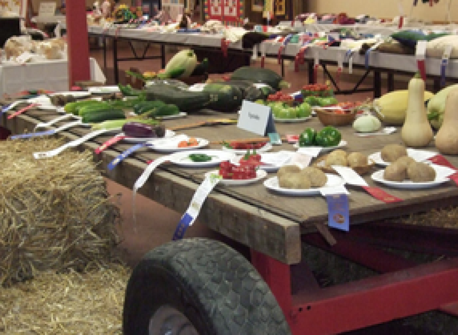 tractor with bales of hay and produce with prize ribbons on top