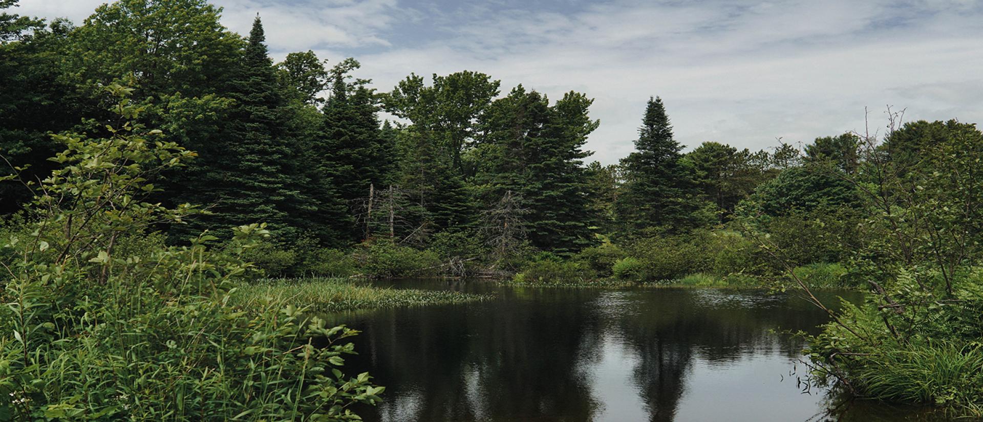 MapleLake_Megan_Kingston