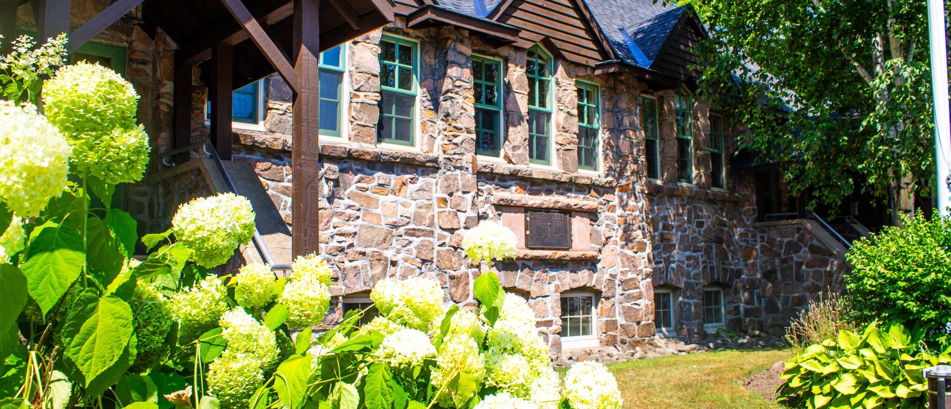 Hydrangea flowers in front of the Rosseau Memorial Hall on a sunny day