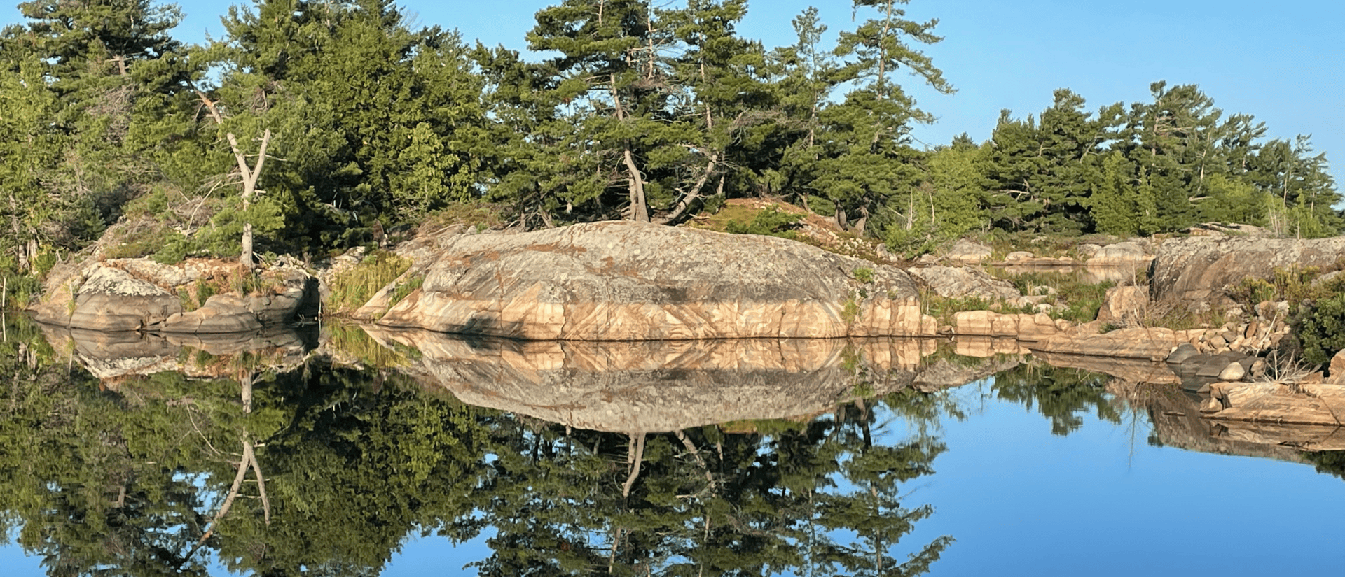 Pine trees on granite on lake in summer