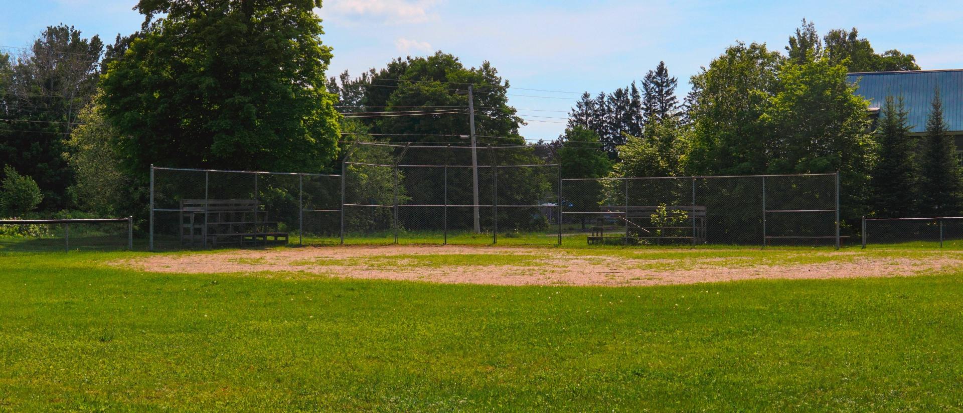 Grassy baseball diamond