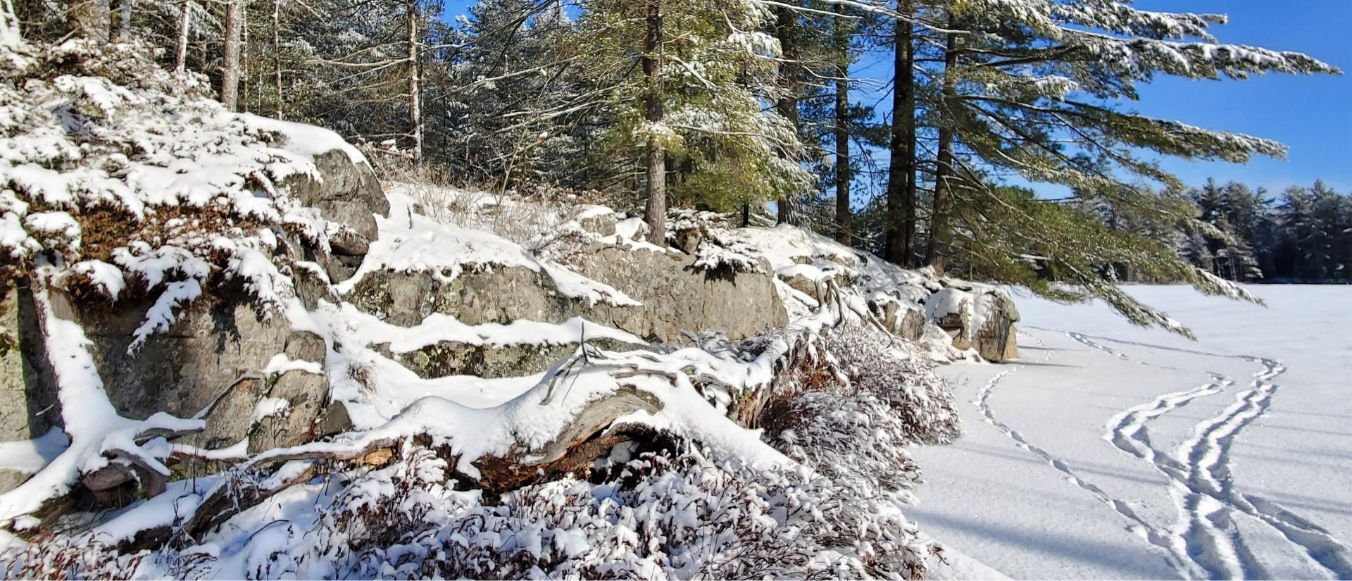 A rocky shore in the winter with footprints shown in the snow on top of a frozen lake