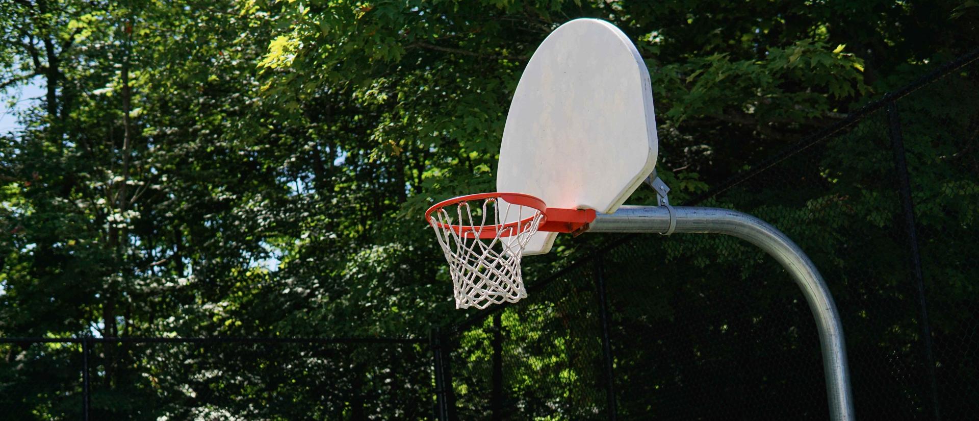 Basketball net in a wooded area