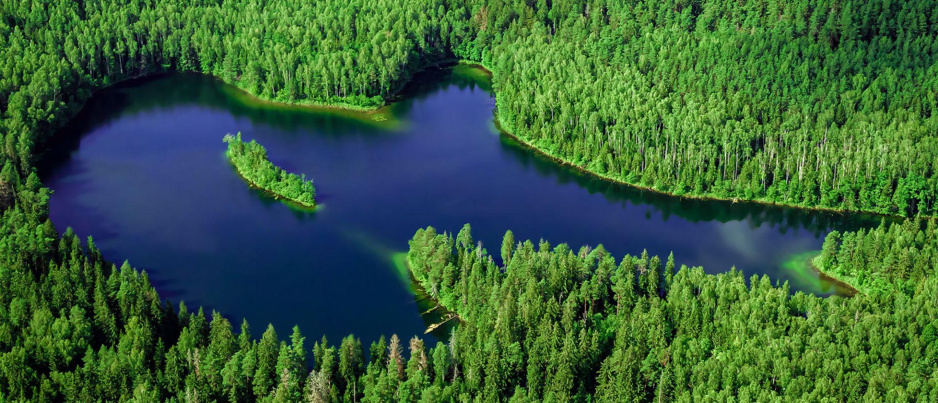 A bird's eye view of a lake surrounded by green pine trees