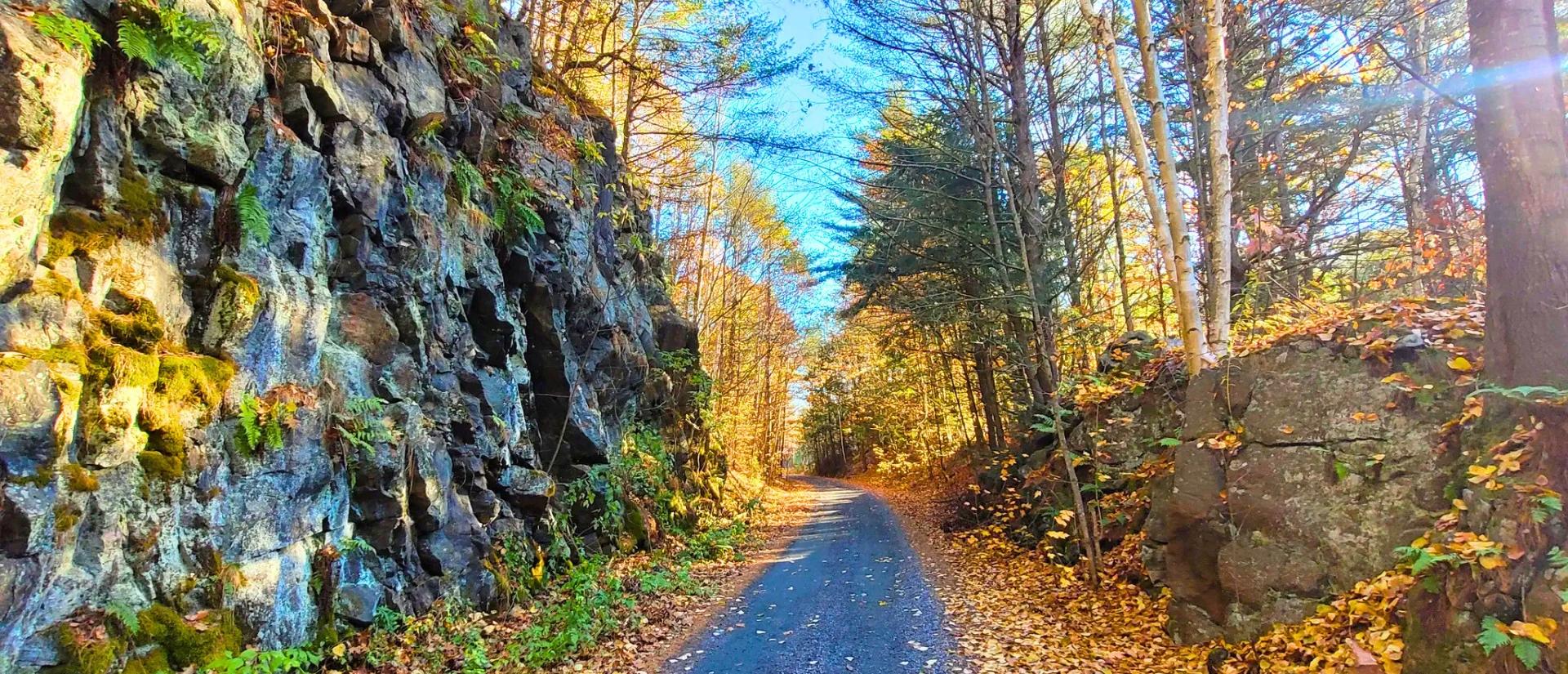 Paved trail running alongside a rocky cliff wall and trees with colourful autumn leaves