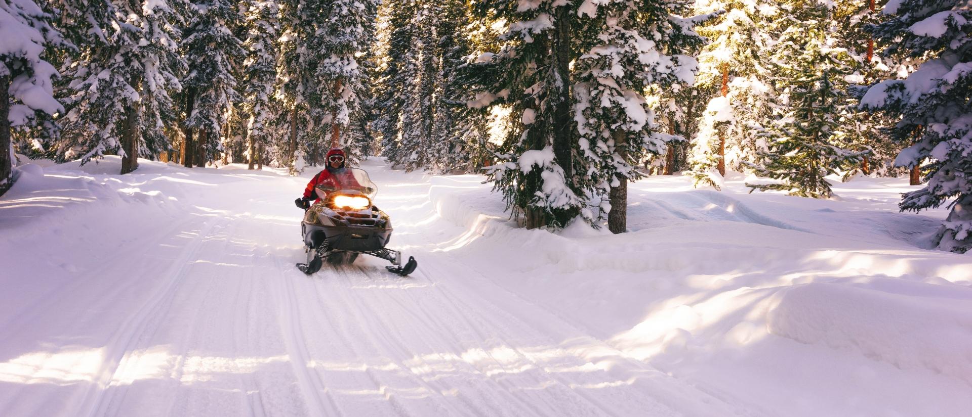Person snowmobiling on a trail in a snowy, forested area