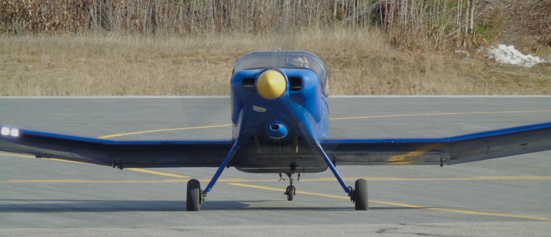 Blue Bird