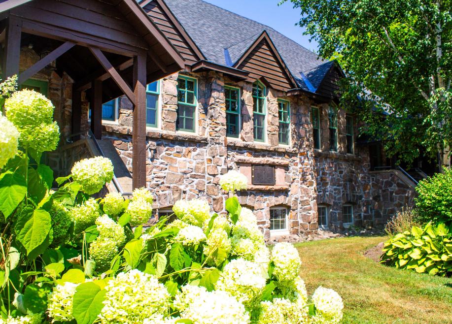 Hydrangea flowers in front of the Rosseau Memorial Hall on a sunny day