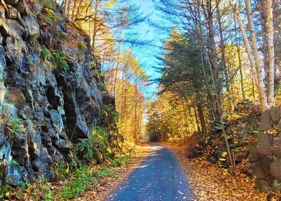 Paved trail running alongside a rocky cliff wall and trees with colourful autumn leaves
