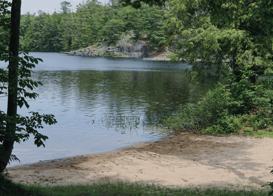 Sand beach with lake, trees and rock