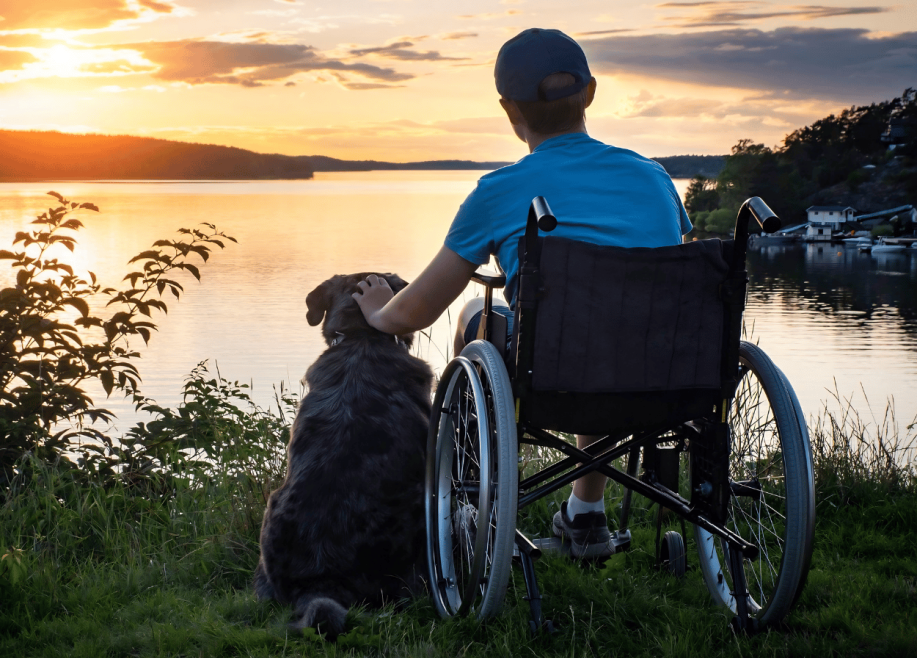 Boy in wheelchair from the back with dog overlooking lake at dusk